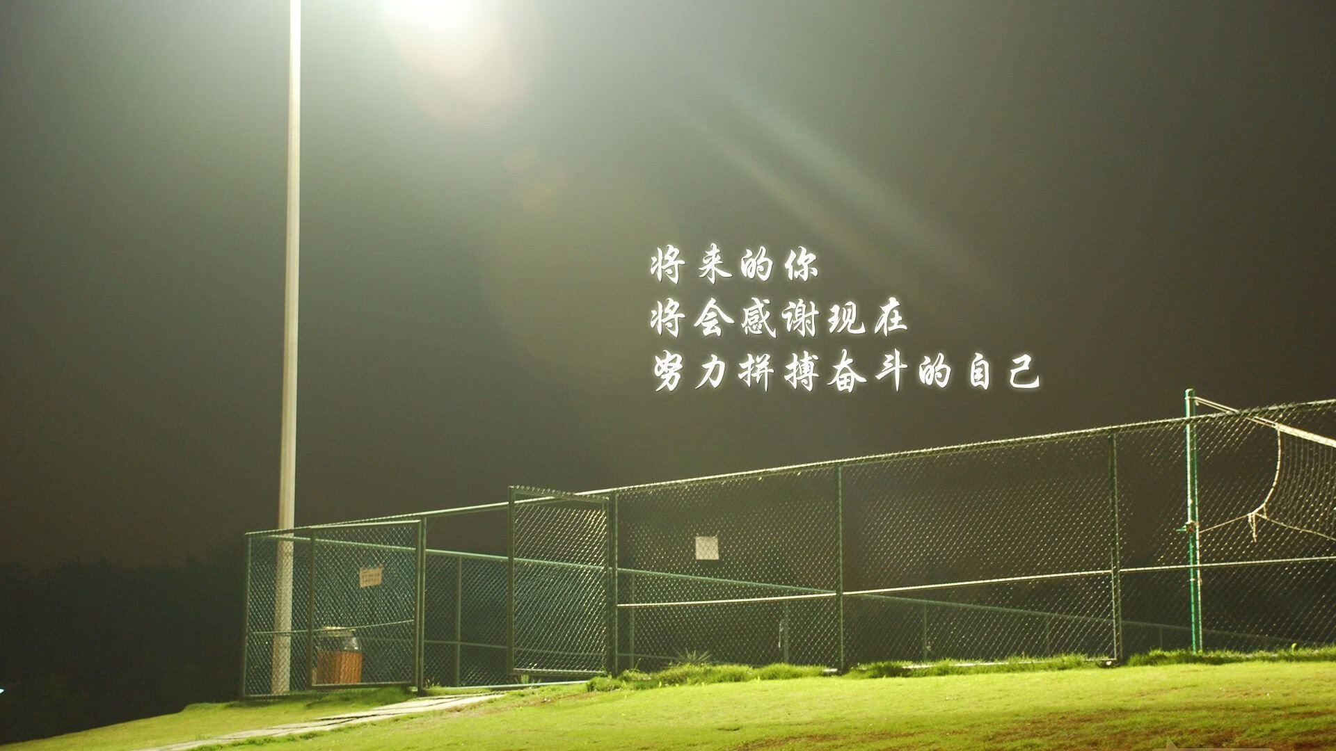 “德甲最后冲刺：争冠队伍形势逐渐明朗”，德甲最后一轮看点