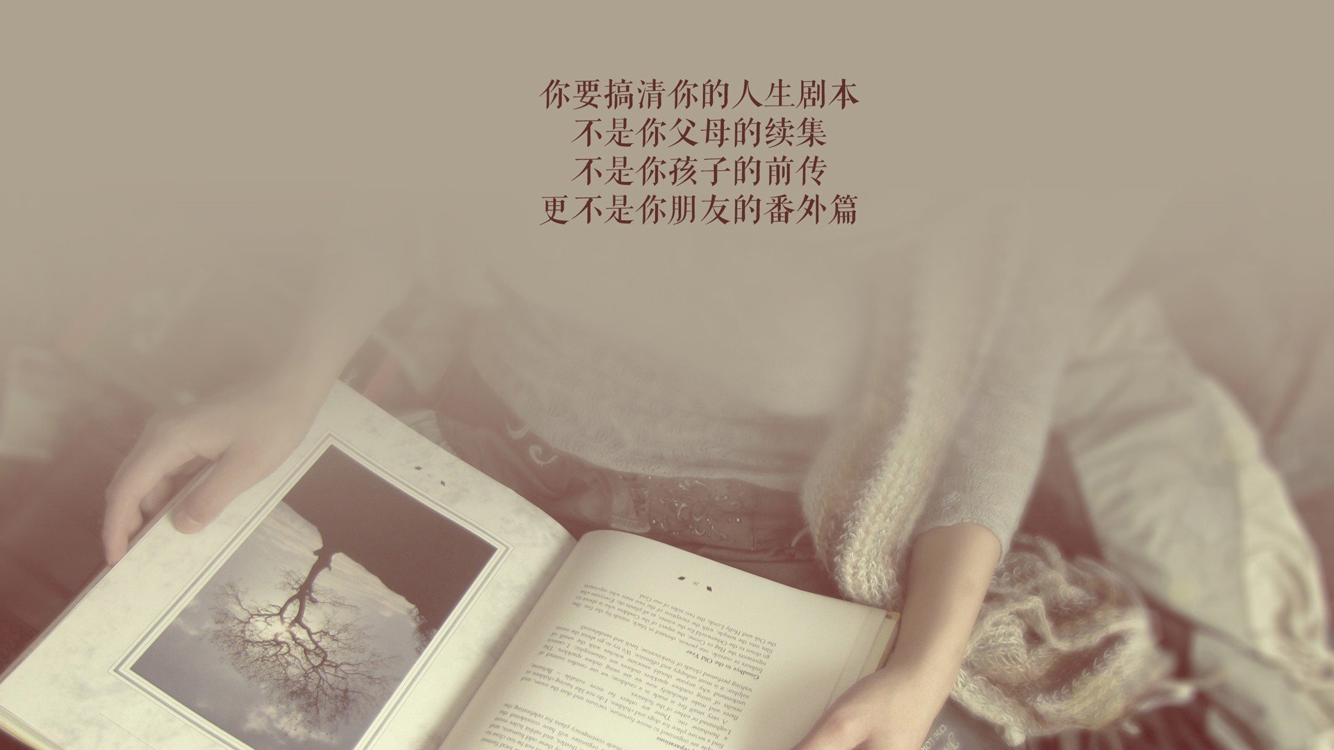 年终盘点：那些令人难以忘怀的WRC高光时刻，wrc高清
