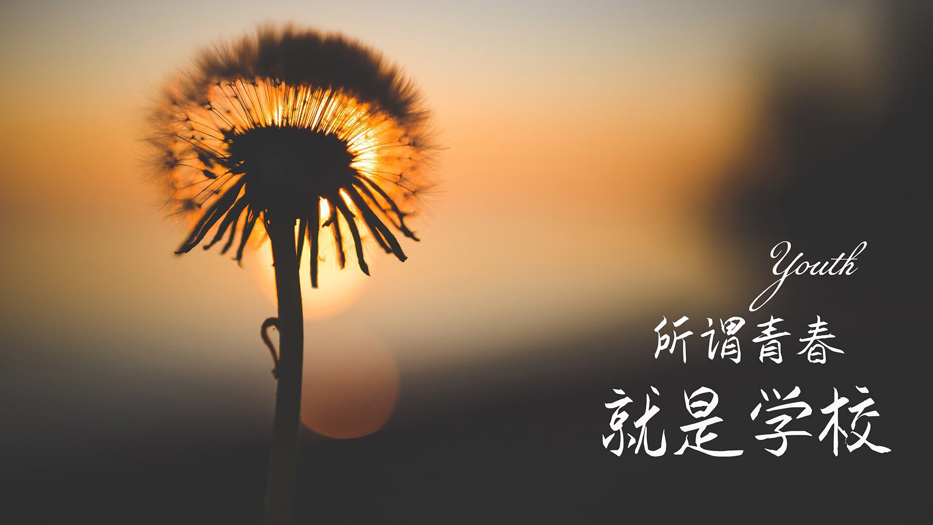 震撼一战！胜利之路又将何去何从，胜利之路视频