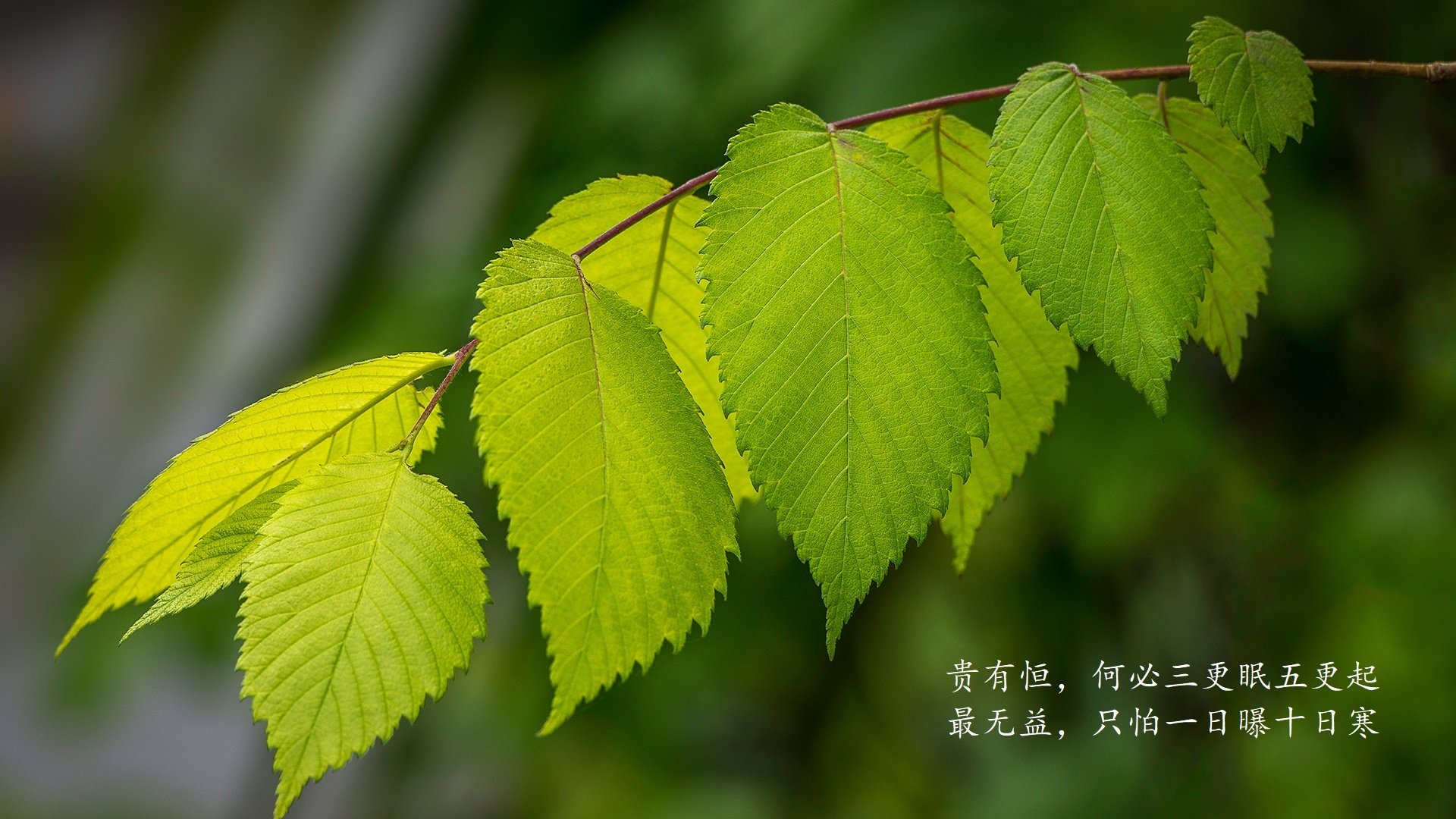 米切尔坦言目标是带领球队走得更远，米切尔厉害