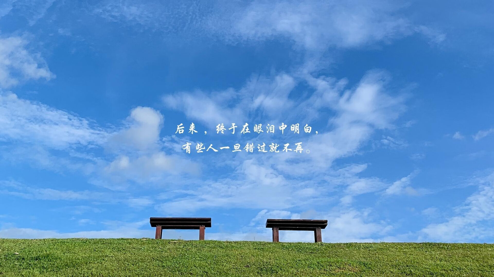 爱游戏平台-美洲杯逆境中崛起：英雄辈出的时刻！，“美洲杯”